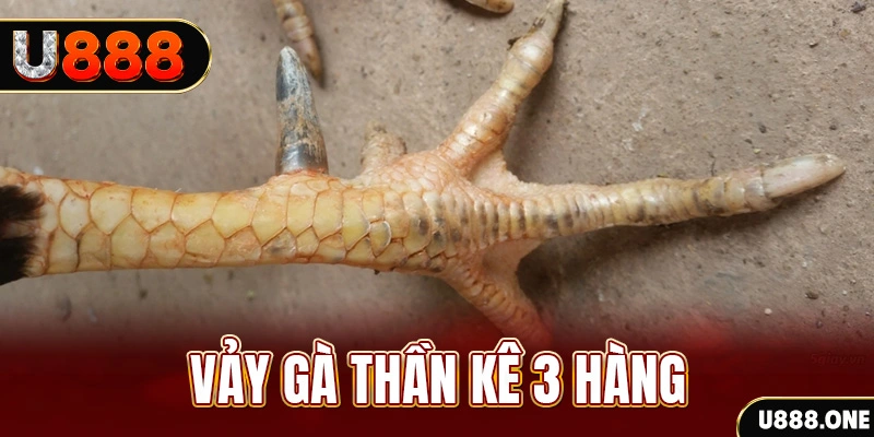 8k bet nổ hũ đổi thưởng . ai