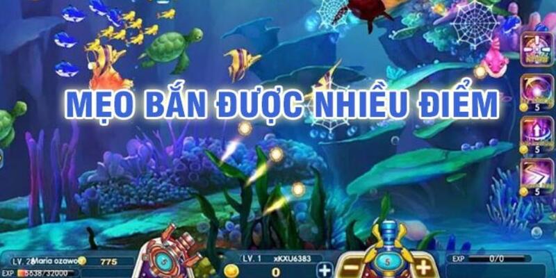 8k bet đá gà