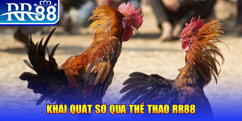 8k bet baccarat bịp như thế nào