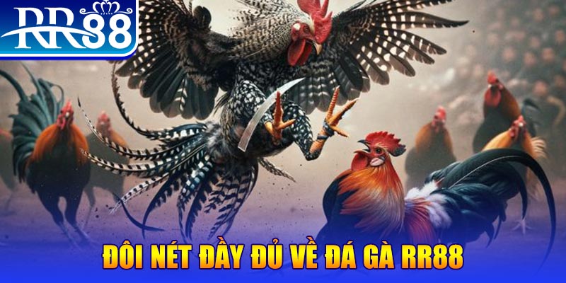 8k bet 1 slot là gì