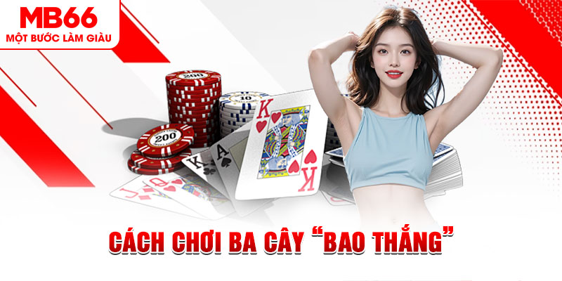 8k bet đá gà cam 67