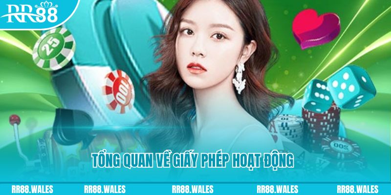 8k bet kết quả xổ số kiến thiết miền bắc