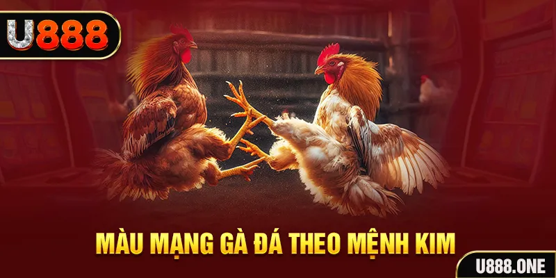 8k bet gà chọi tiêu phong