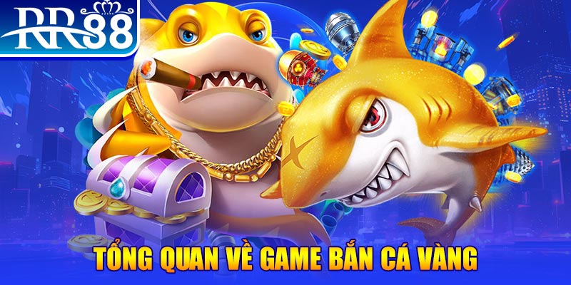 8k bet xổ số miền bắc hôm