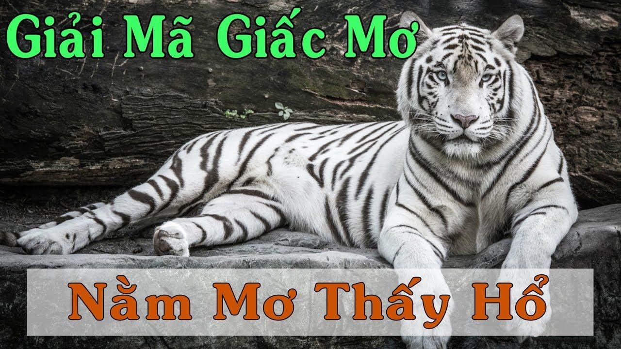 8k bet xổ số miền trung