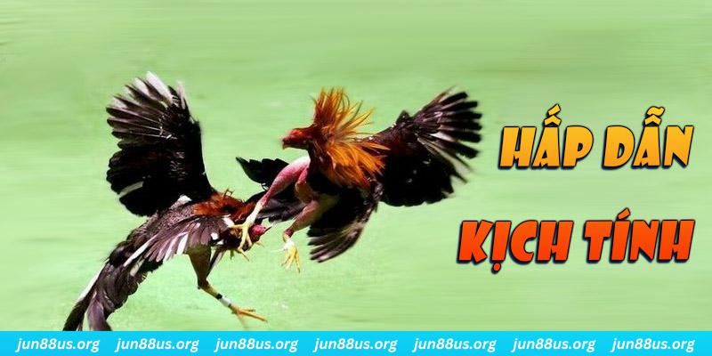 8k bet bắn cá long vương