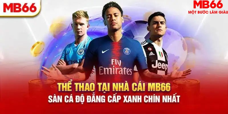 8k bet HB Điện Tử