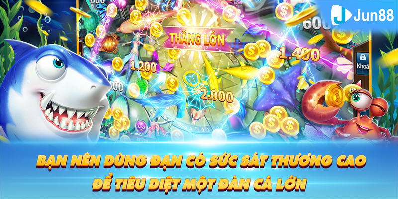 8k bet ÁT CHỦ BÀI GIÀNH LẤY ZHUANG NIUNIU ( XEM 3 LÁ )