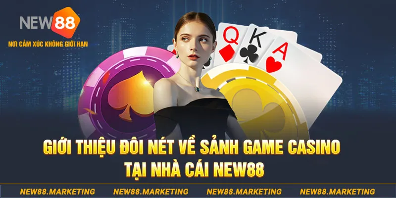 8k bet xổ số vũng tàu