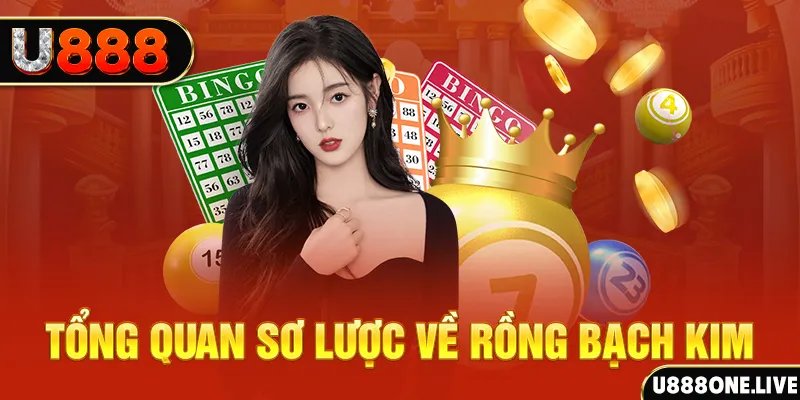 8k bet how to win at slot machines