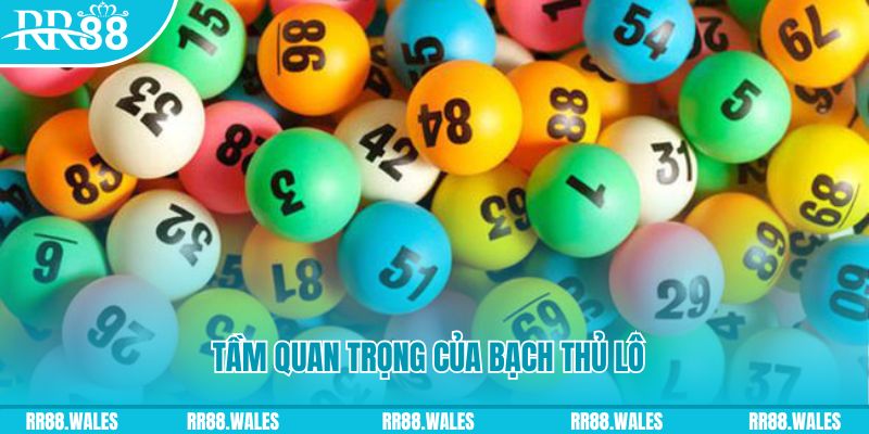 8k bet Ws168 Đá Gà