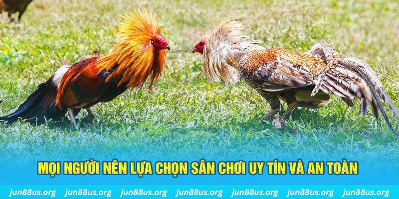 8k bet hơn cả bạn bè