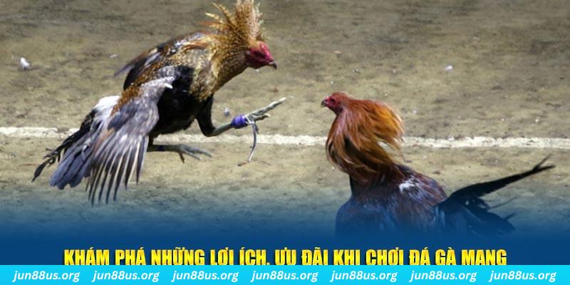 8k bet Tài Xỉu 2