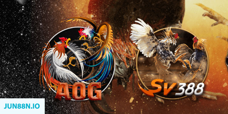 8k bet xổ số miền trung chủ nhật hàng tuần
