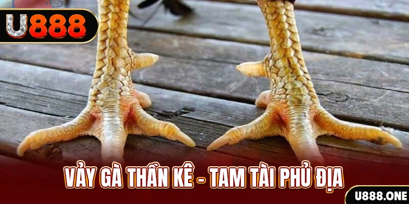 8k bet xổ số 30 ngày