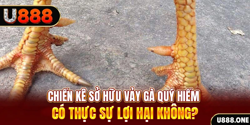 8k bet game cá cược máy bay