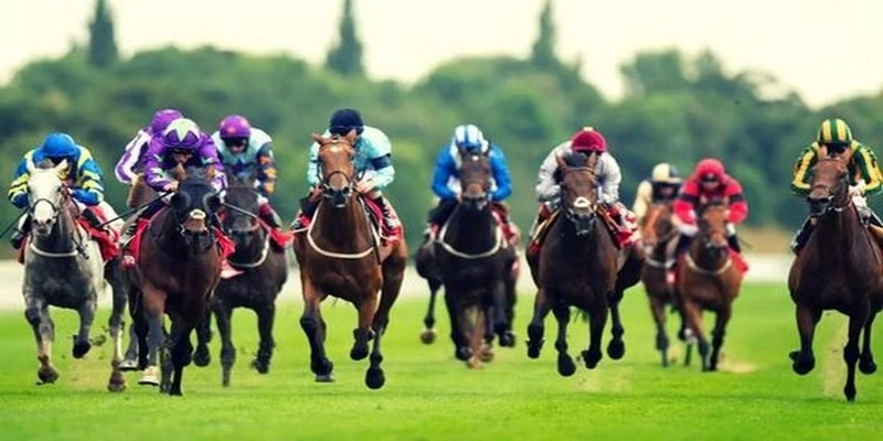 8k bet xổ số miền bắc thứ hai