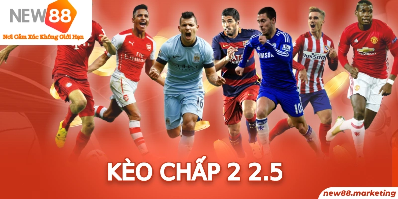 8k bet trực tiếp đá gà thomo