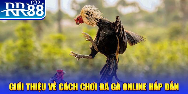 8k bet nổ hũ 2 mặt là gì