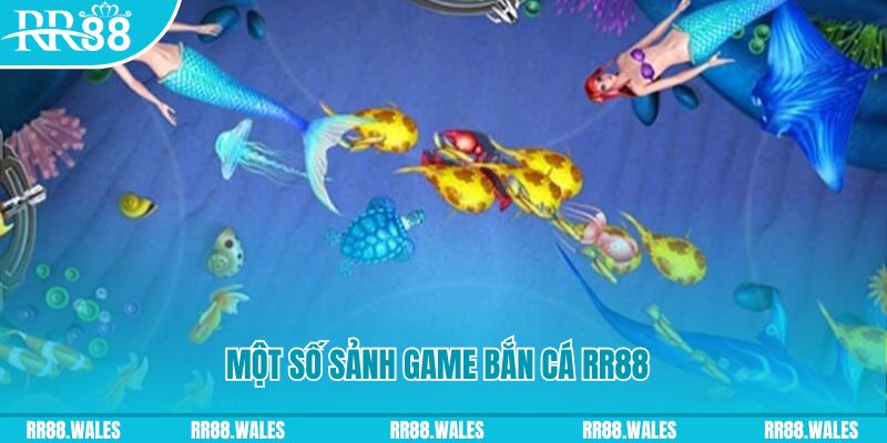 8k bet xổ số minh ngọc – miền nam