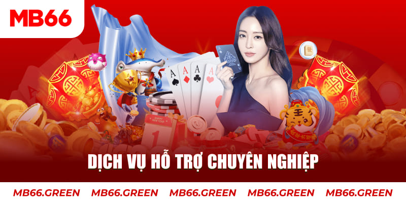 8k bet gà chọi cậu thanh