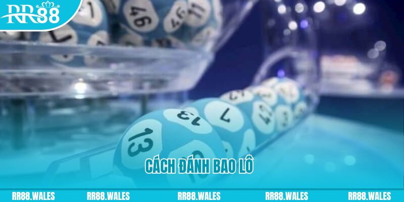 8k bet V8 Game Bài 3d