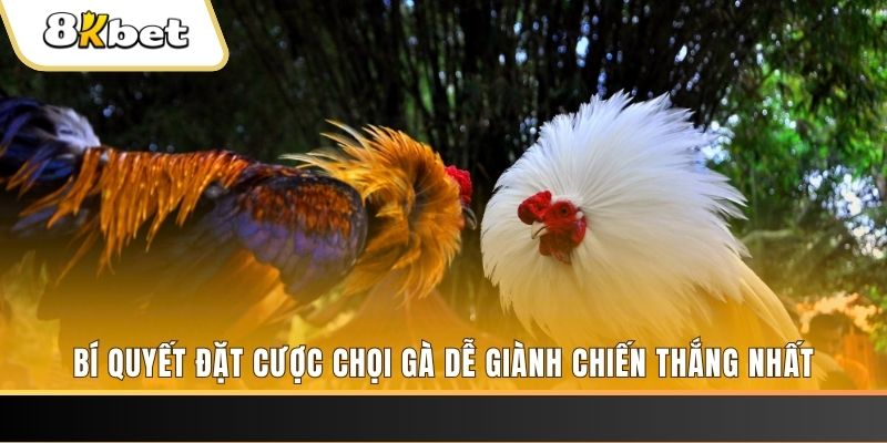 8k bet may club nổ hũ