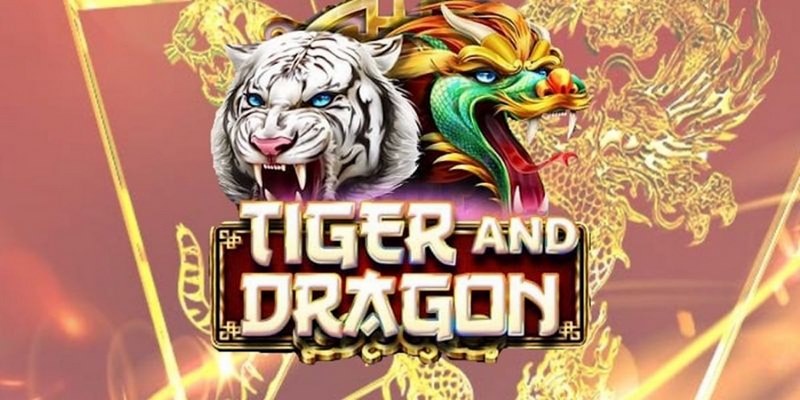 8k bet cá cược tiếng anh là gì