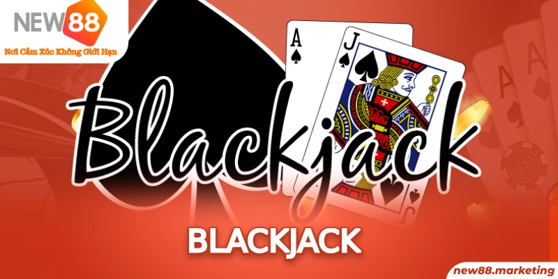 8k bet DG Trực Tuyến