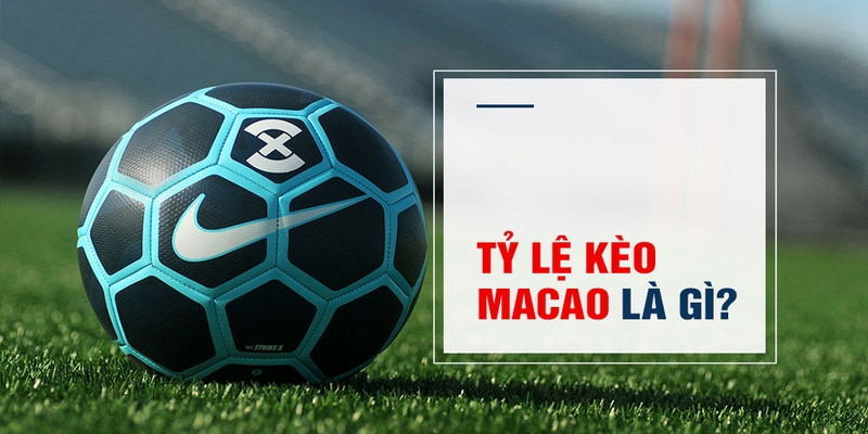8k bet Trăm Knorr