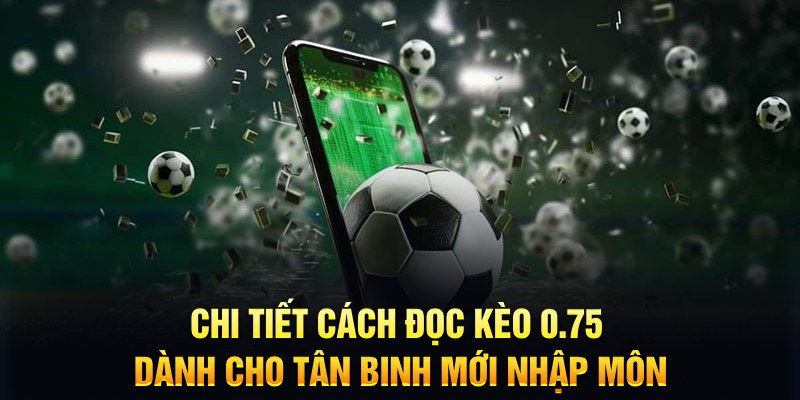 8k bet sổ xô miên nam hôm nay