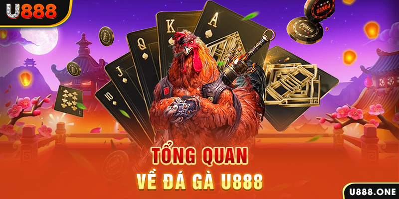 8k bet chạy quảng cáo cho game bài bị phạt như thế nào