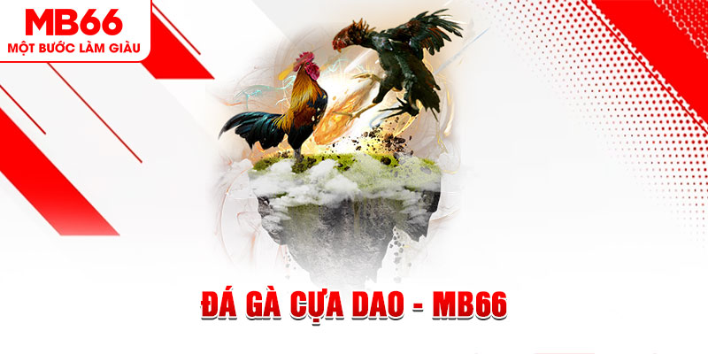 8k bet xổ số miền bắc thứ năm hàng tuần